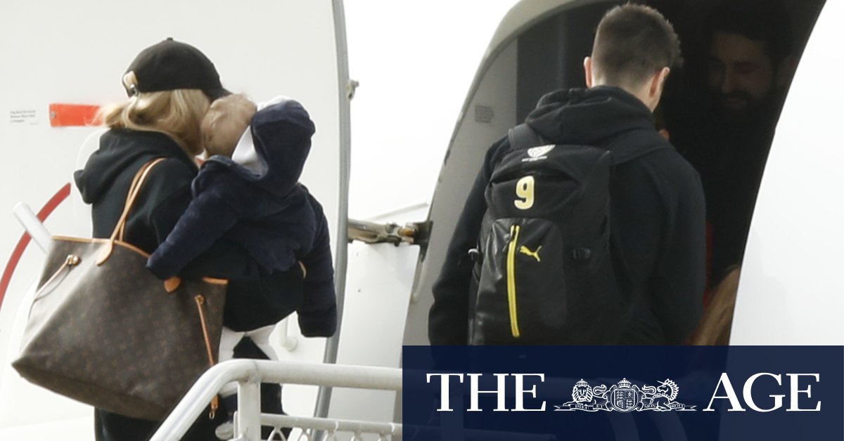 Wag Hub A Possibility In Queensland