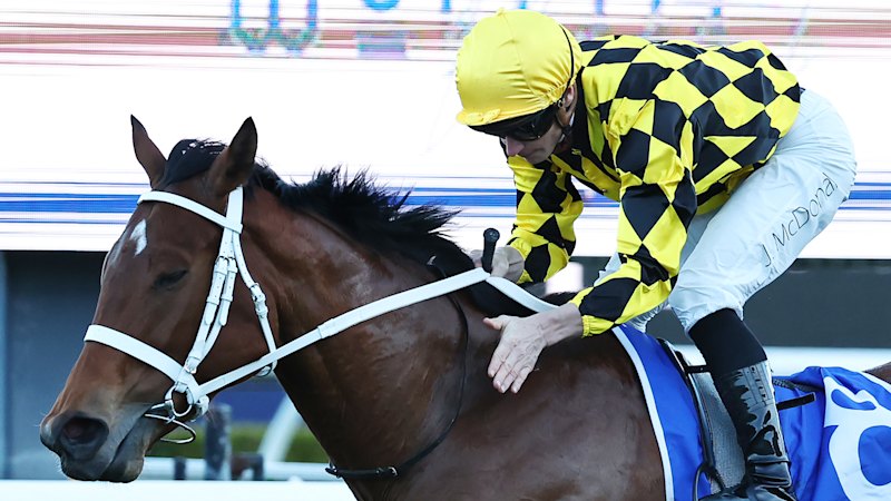 Autumn Glow wins Australian Racehorse of the Year at Arrowfield’s big awards night