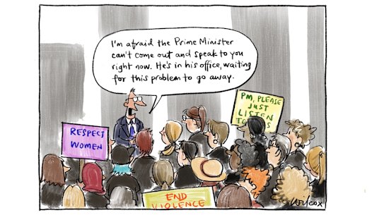 Illustration: Cathy Wilcox