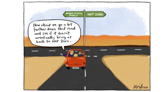 Illustration: Cathy Wilcox