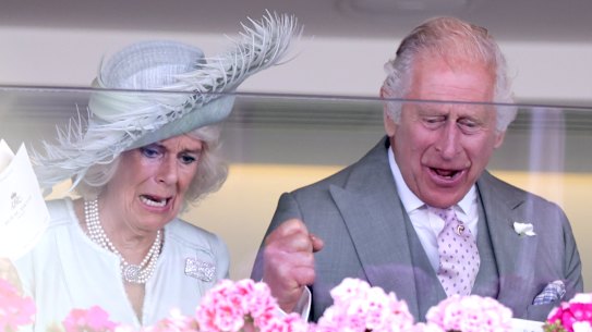 King Charles II and Queen Camilla watch their horse Desert Hero win at Royal Ascot.