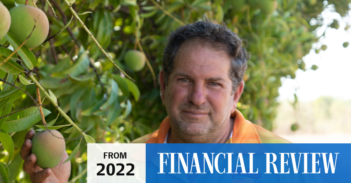 Mango farmer Leo Skliros on the rotten end of skills shortages