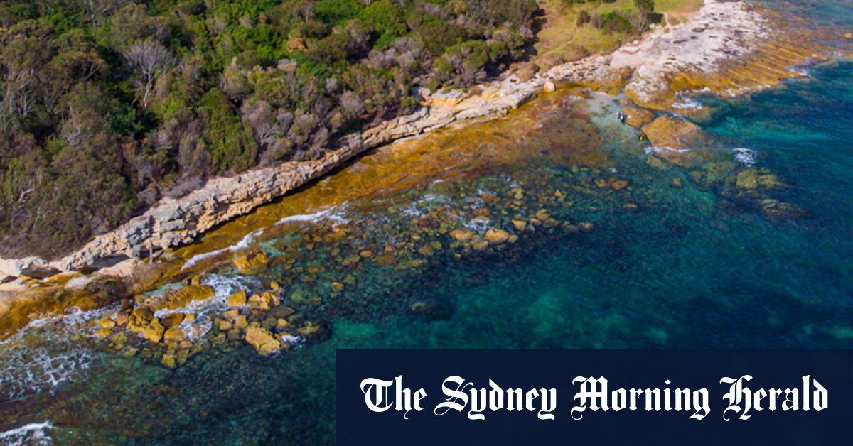 Diver dies after being pulled from the water in Sydney's south - Vimarsana News