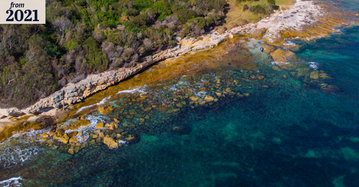 Diver dies after being pulled from the water in Sydney’s south