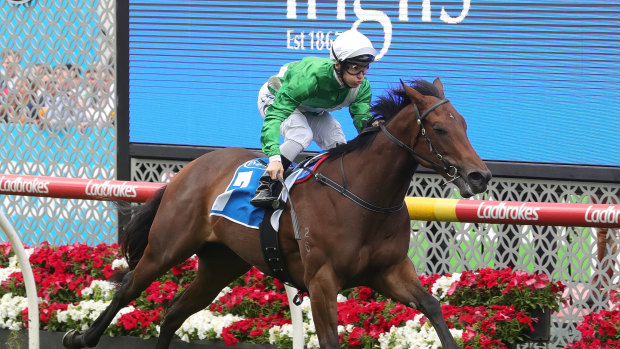 Great start: Tim Clark rides Espaaniyah to an easy win on debut at Moonee Valley.