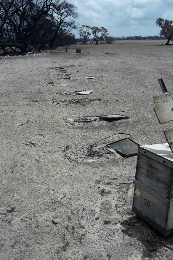 What remained of Grantley Johnson’s hives after the bushfires. 