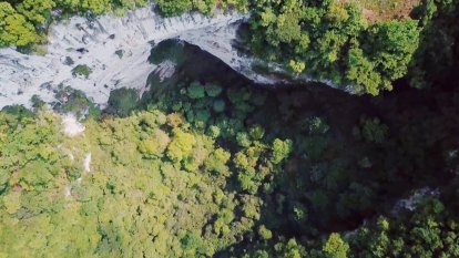 In a massive Chinese sinkhole, scientists find a secret forest