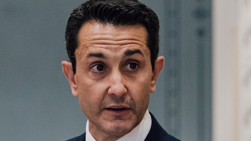 Liberal-National MP rebels against Crisafulli on abortion