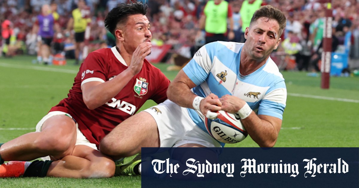 Take note, Wallabies – Pumas made Lions look like lost cats