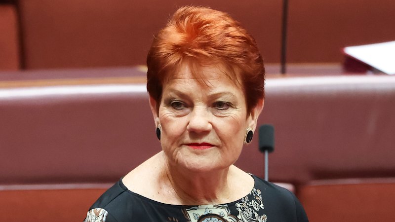 One Nation, almost zero donations: Minor party short on election cash