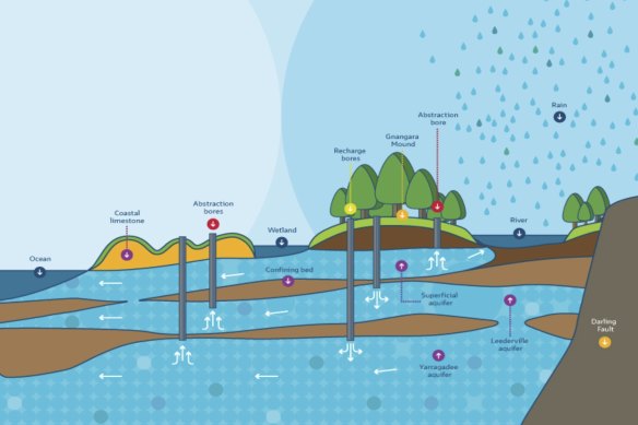 A cross-section of the Gnangara Mound system.