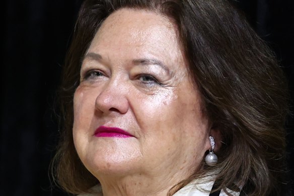 Plenty of spectators are pondering why Gina Rinehart is involved in this deal.