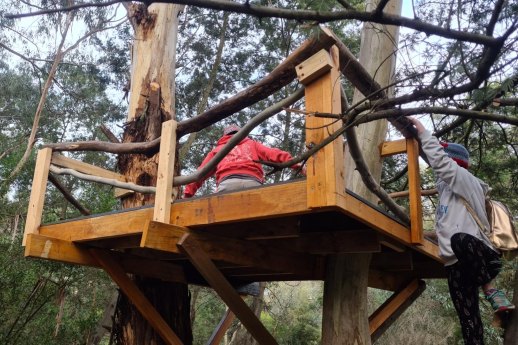 On Tuesday Moreland Council removed this parent-built treehouse in a Coburg North park.