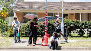 Sweltering Cities has decorated one of the many Blacktown bus stops without shelter to send a message to local MPs.