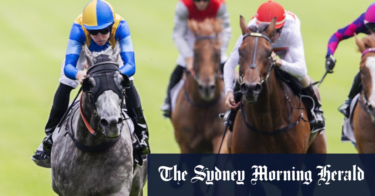 Race-by-race preview and tips for Randwick on Sunday