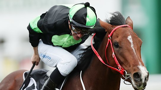 Stockman will take on the Tancred Stakes.