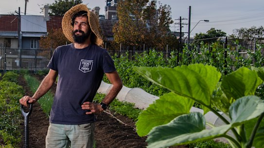 “I think we have to get a bit more serious about how we grow our food" Michael Zagoridis is one of the managers at Pocket City Farms in Campberdown.