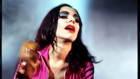 P. J. Harvey later set her poems to music.