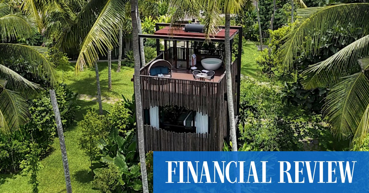 In Bali, everyone wants to stay in a treehouse: here's why - Vimarsana News