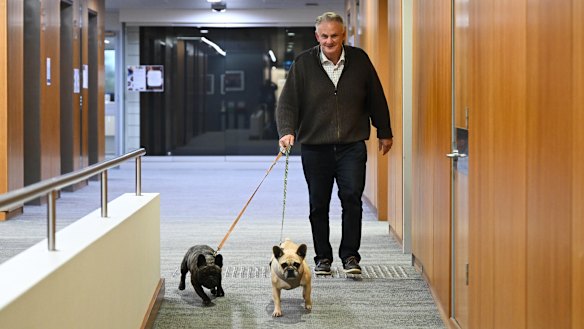 Independent MP Mark Latham with Digby and Leela, for Bring Your Dog to Work Day in NSW parliament on Friday. 