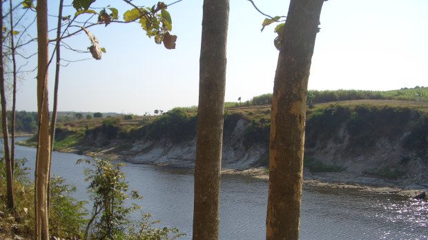 The Solo River at Ngandong. The exposed river terraces where the skull caps were found can be seen on the far bank.