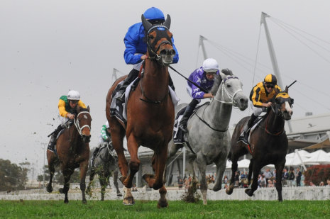 Climbing Everest: Home Of The Brave made every post a winner in the Theo Marks Stakes.