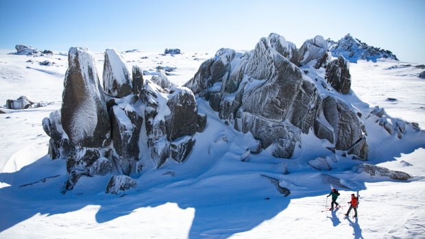 Ski-touring at Thredbo.