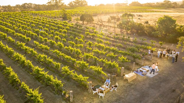 Poonawatta’s rieslings are among this area’s finest.