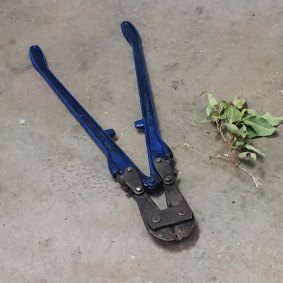 Bolt cutters found at the scene.