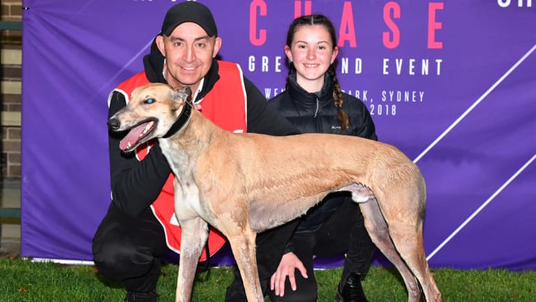 Triple threat: Jason Thompson will have three dogs in the race for $1 million on Saturday, including Midnight Starlet.
