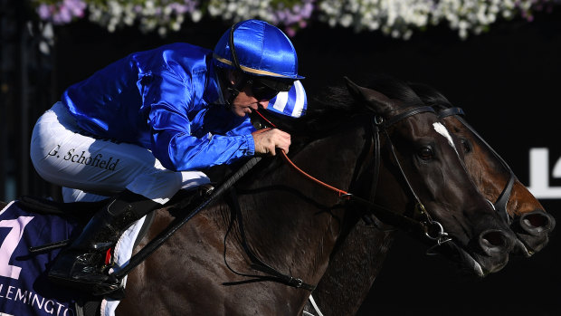 Contender: Avilius will look to break Godolphin's run of outs in the Melbourne Cup.