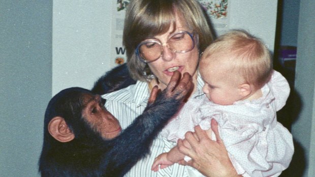 Michele Cotton with daughter Sofia and a chimpanzee at home in Saudi Arabia.