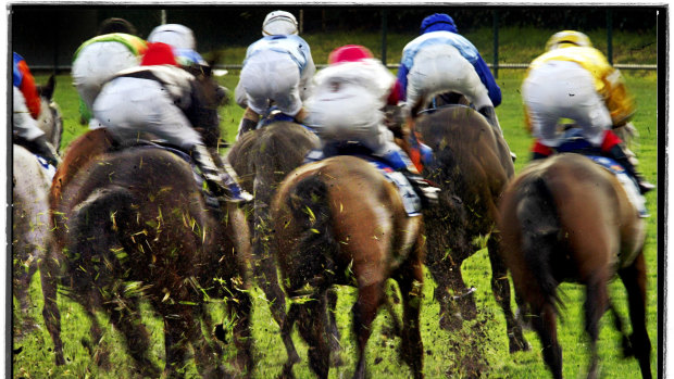 A portion of ticket sales for the Melbourne Cup Carnival will go to a new horse wellbeing fund.