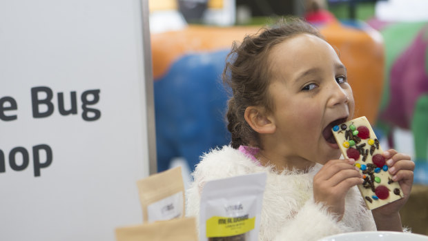 Marley eating a milk chocolate cricket bar on sale at the Royal Melbourne Show.