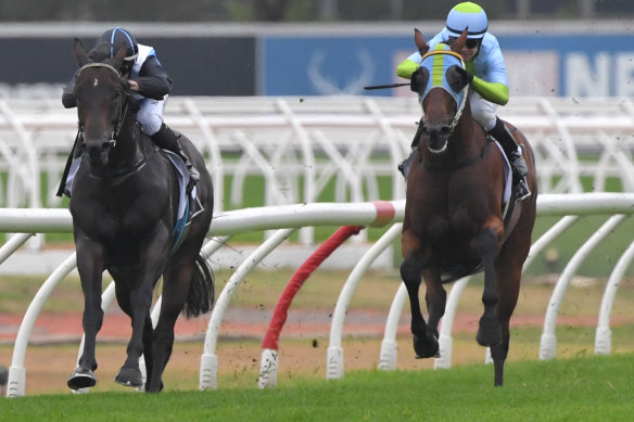 Bandersnatch scoots to one of his three wins in the summer.