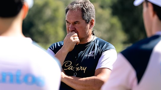 Wallabies coach Dave Rennie at training on Monday.