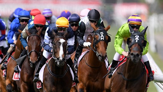 Seven Network walks away from Melbourne Cup coverage