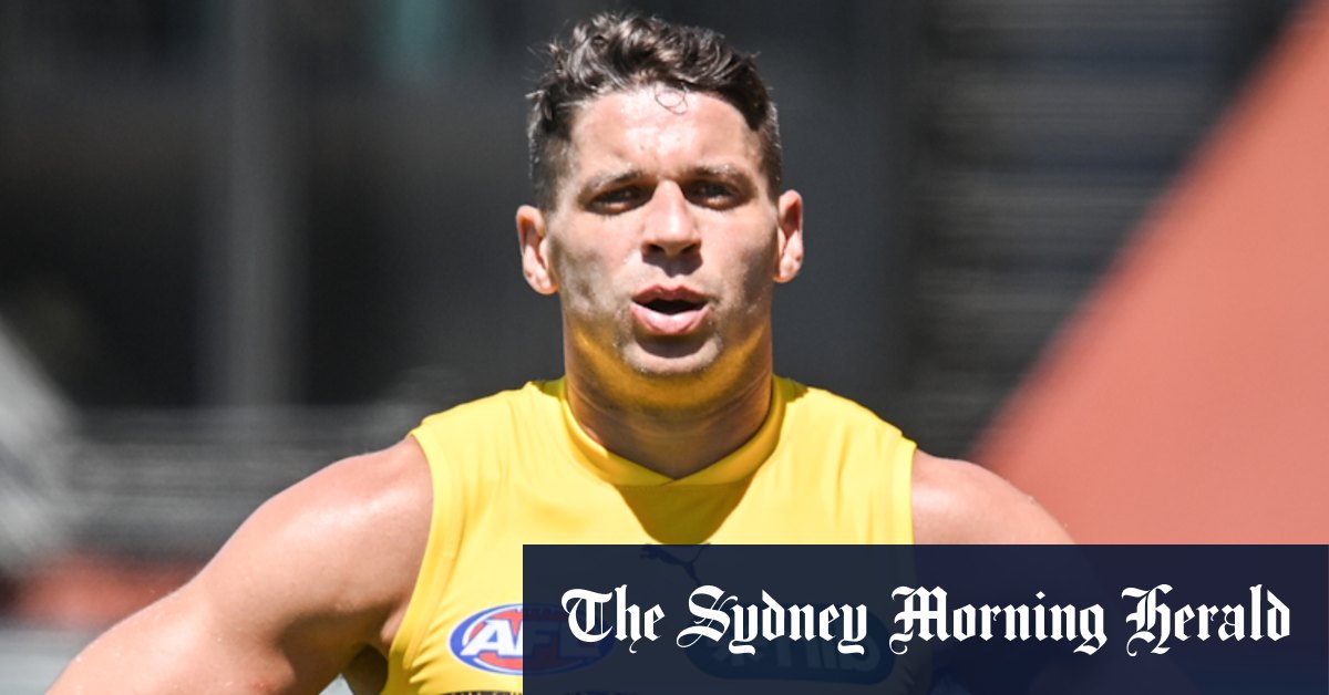 Richmond star Dion Prestia charged over Boxing Day fight at Sorrento