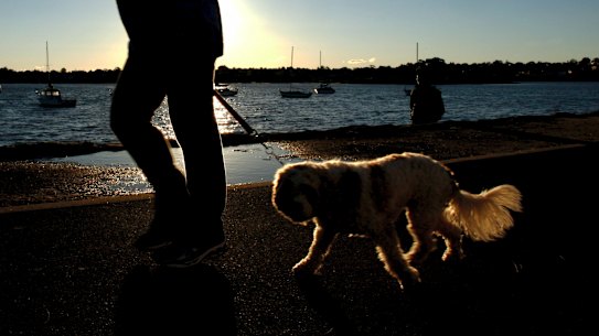 I’ve learnt to find pockets of joy in my day.