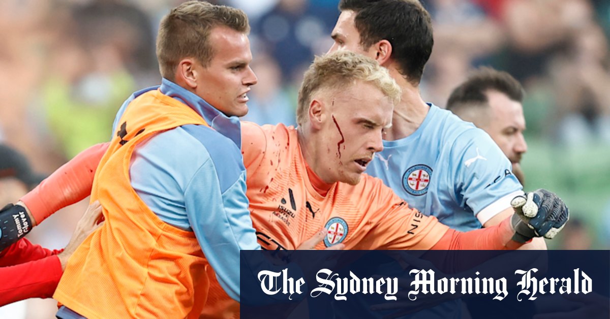 A-League 'bucket man' Alex Agelopoulos jailed over wild AAMI Park pitch invasion - Vimarsana News
