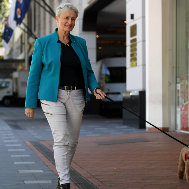 Kerryn Phelps and her campaign weapon, Lulu the poodle.