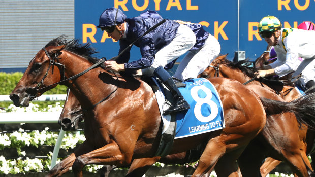 Learning To Fly takes out the Inglis Millennium.