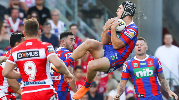 New heights: Kayln Ponga's star is on the rise at Newcastle.