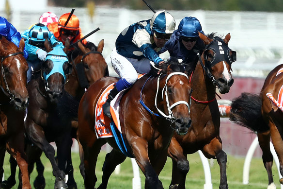 Tagaloa wins the Blue Diamond.