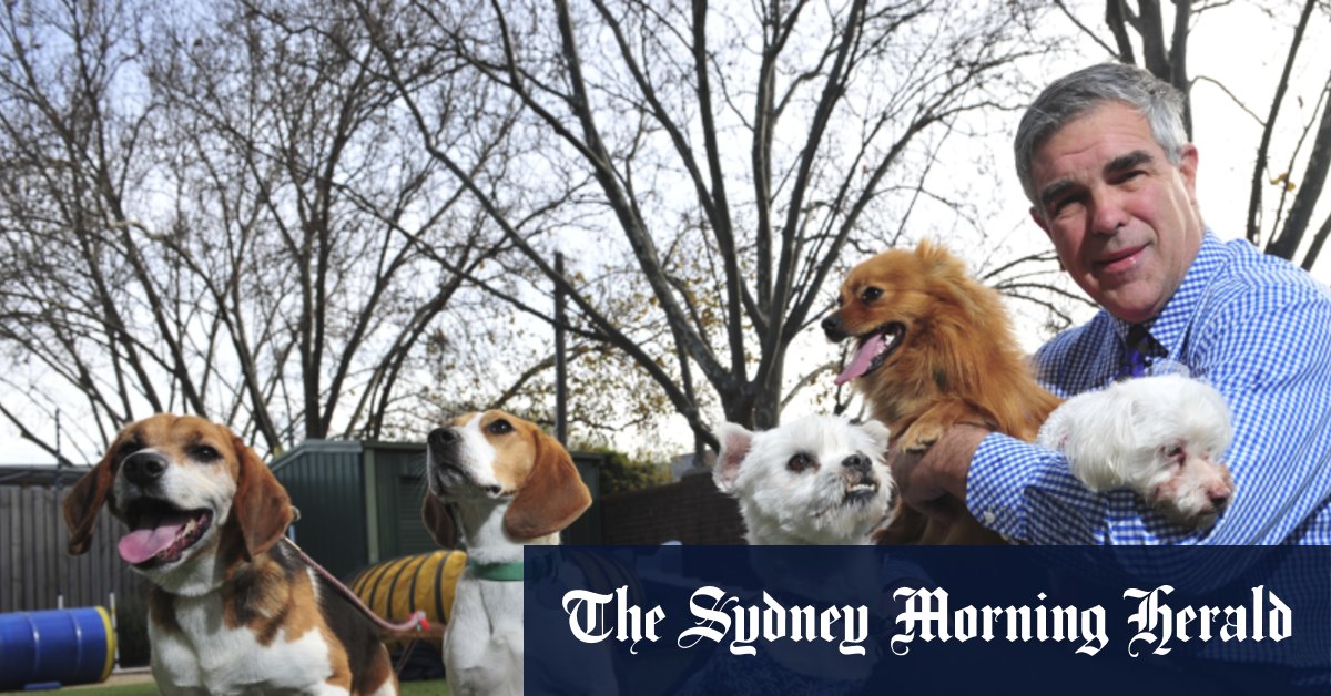 Lost Dogs’ Home must stay where it is, former chief urges