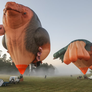 Patricia Piccinini’s new airborne sculpture “Skywhalepapa” (at left) prepares for lift-off alongside its companion, “Skywhale”.