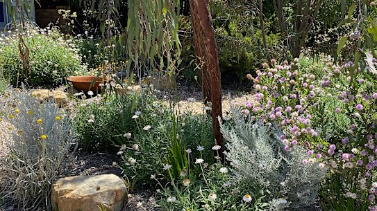 This Melbourne front garden designed by Emmaline Bowman includes a multitude of layers to support a diverse range of wildlife