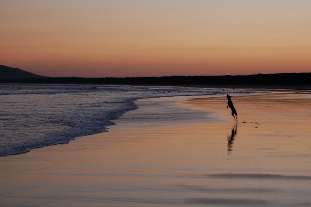 Cercada por rios e áreas de camping, Seven Mile Beach tem a vantagem adicional de um pequeno parque nacional que se estende ao longo da praia.