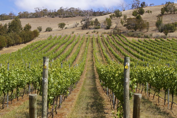 Tasmania’s Derwent Estate.