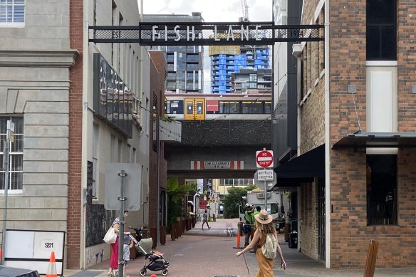 Under the rail line, South Brisbane’s Fish Lane has been transformed from a formerly industrial area.